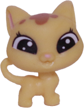 #2-84 Teensy Kitten "Catalina Scrapper"